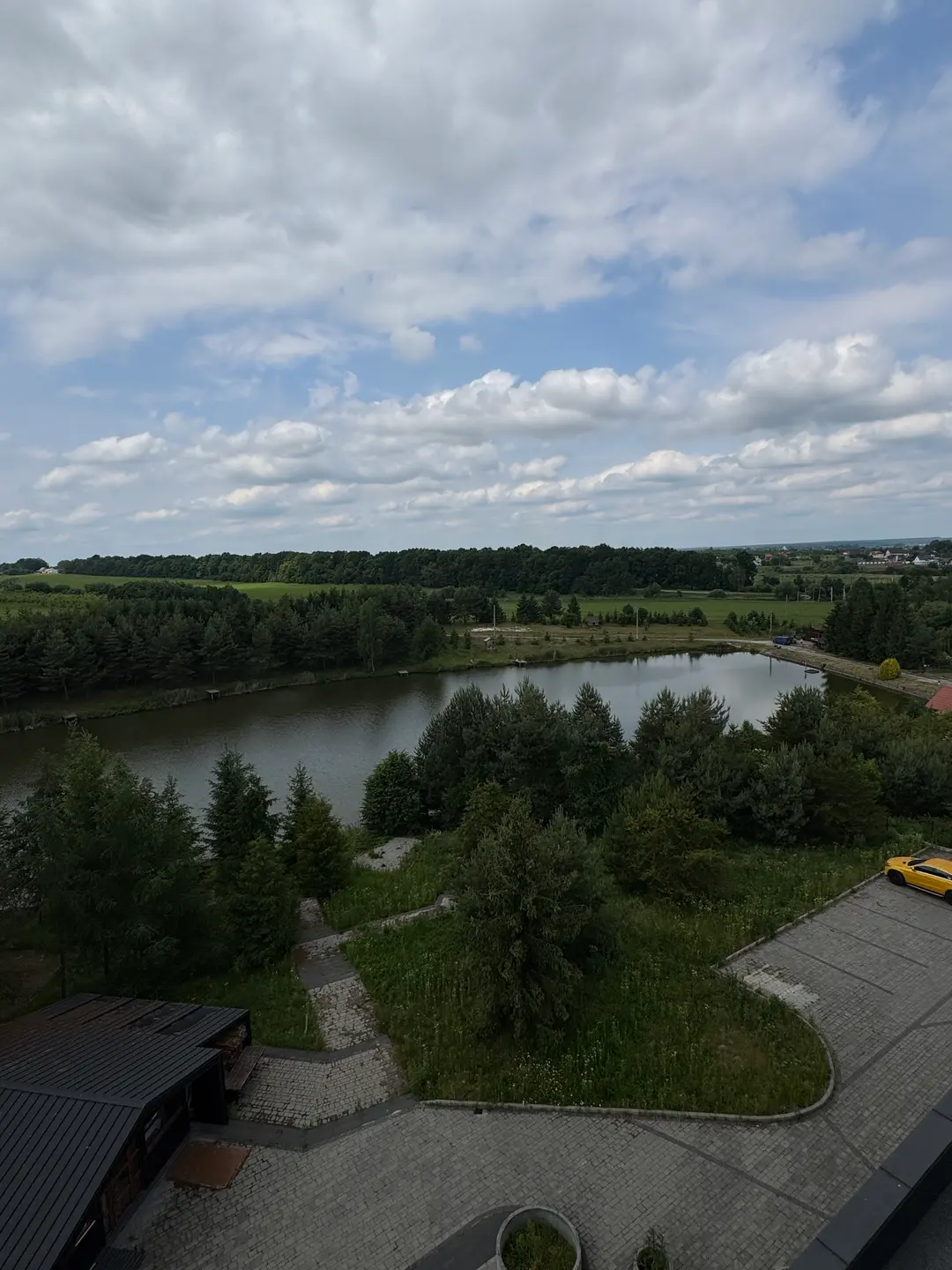 Озеро і сосновий ліс з висоти