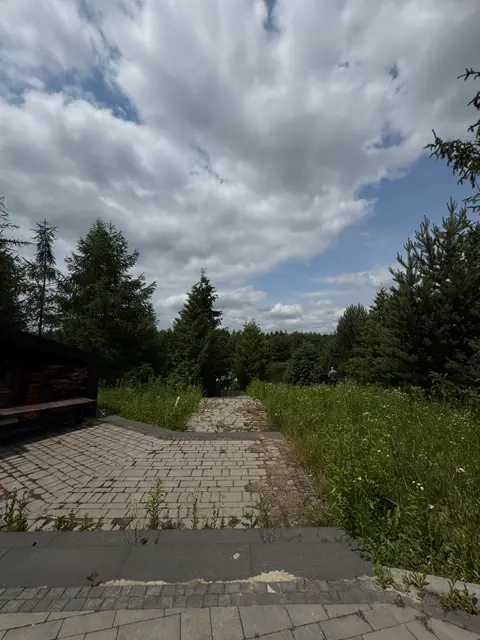 Тераси, що спускаються до озера